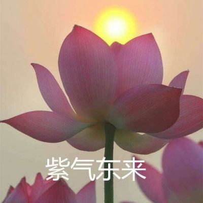沪深300ETF富国（159300）跌1.12%，成交额6299.71万元